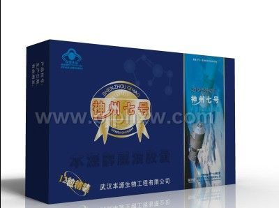 神州七號(hào)膠囊 補(bǔ)腎壯陽前列腺