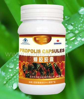 全國含量最高的蜂膠產品——蜂膠膠囊