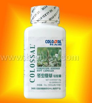 冬蟲(chóng)夏草軟膠囊