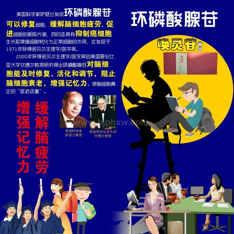 喚靈苷--過(guò)目不忘，元來(lái)如此