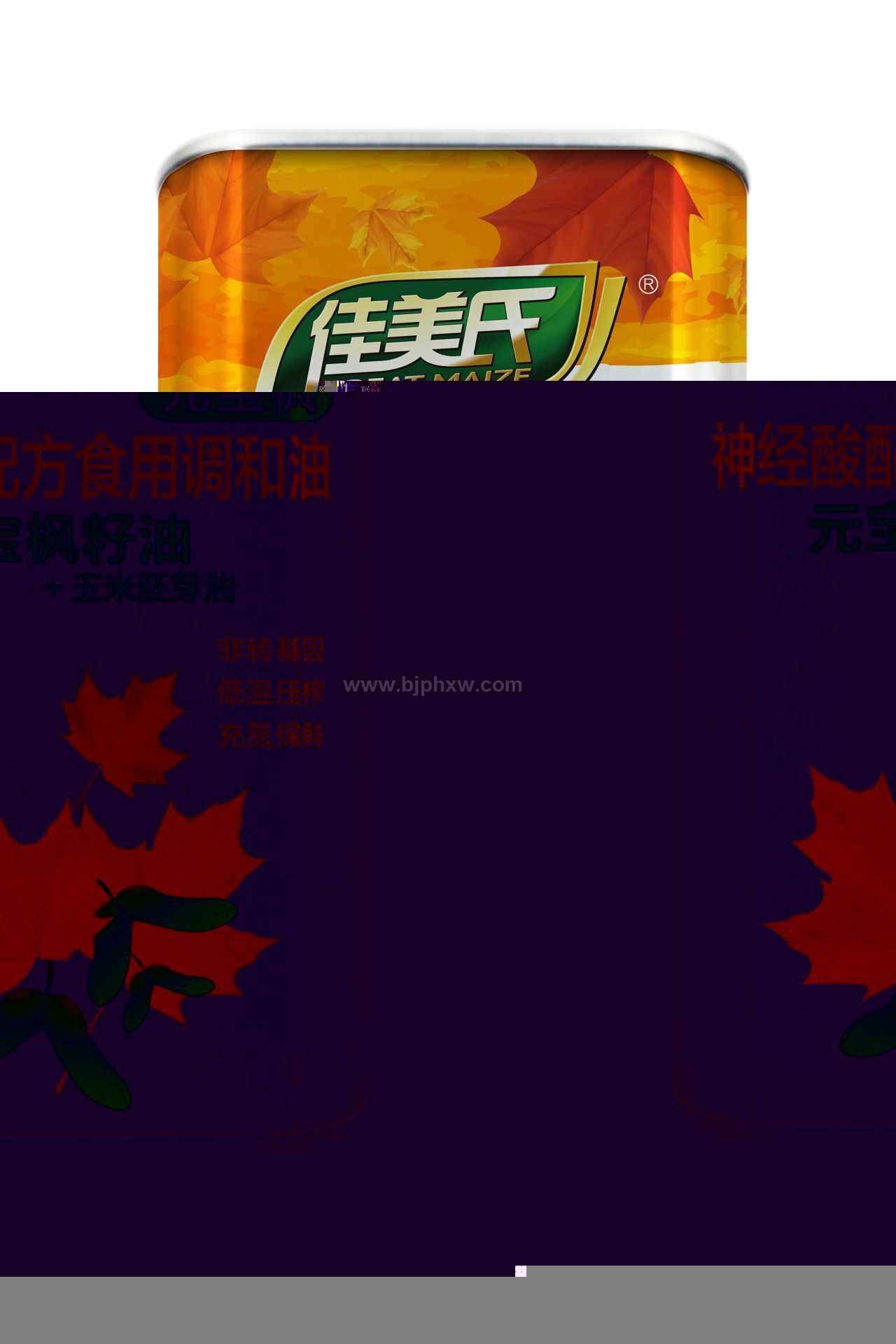 神經(jīng)酸配方食用調(diào)和油