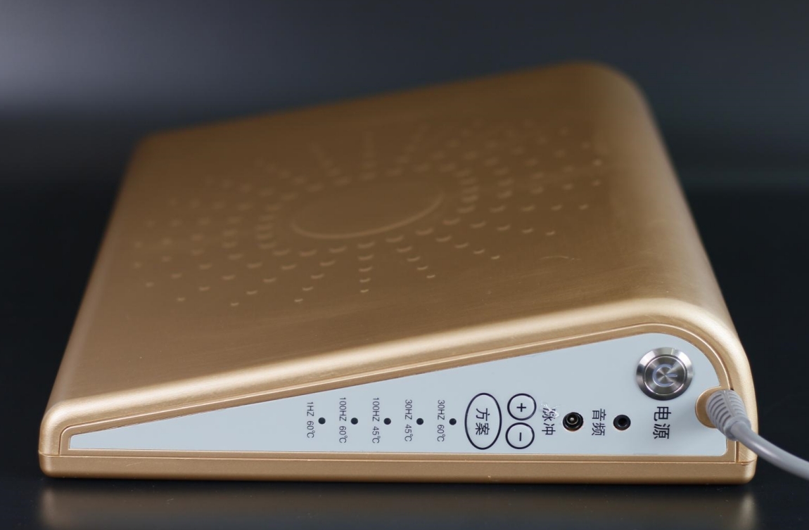 遠紅外磁電脈沖治療儀（SX-D2）