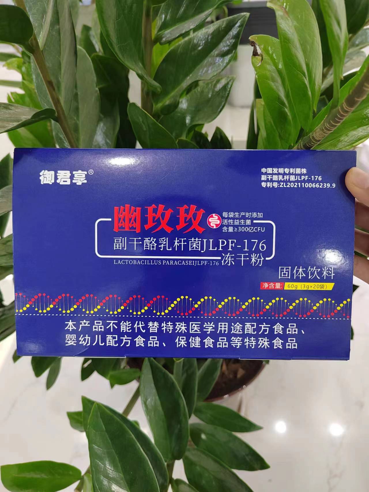 幽玫玫副干酪乳桿菌JLPF-176