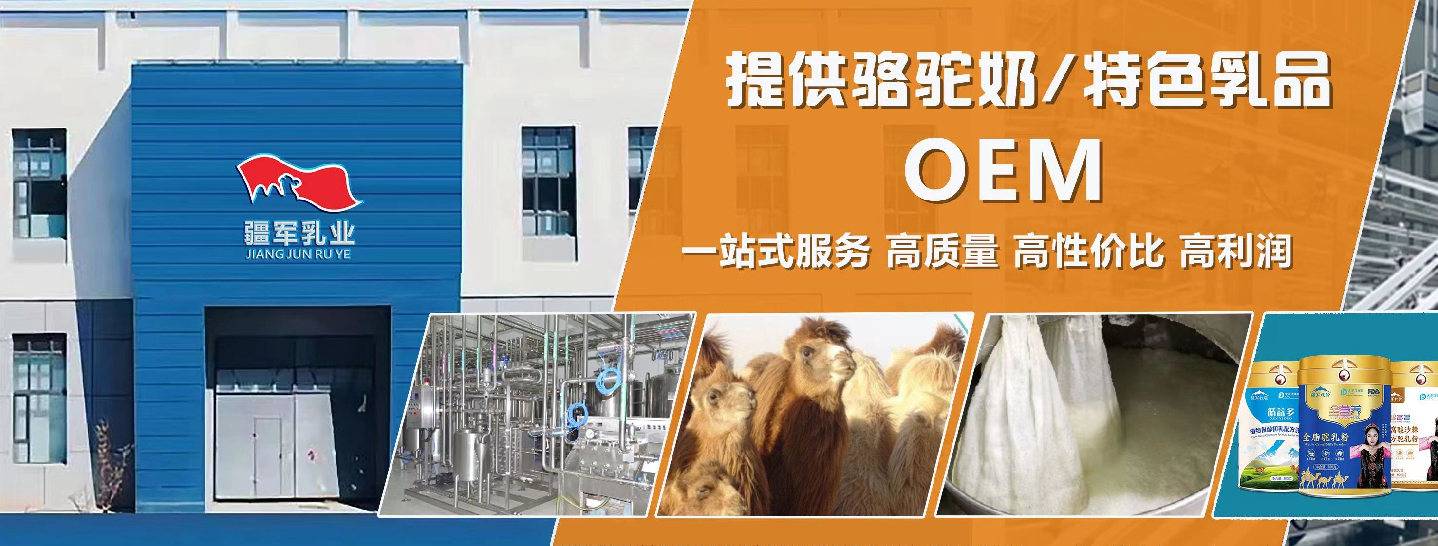 新疆駝奶粉代加工、駱駝奶粉新疆廠家