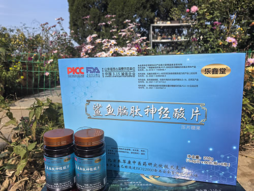 鱉魚(yú)腦肽神經(jīng)酸片